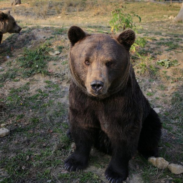 6bce_libearty_zarnesti_2_1920x1080